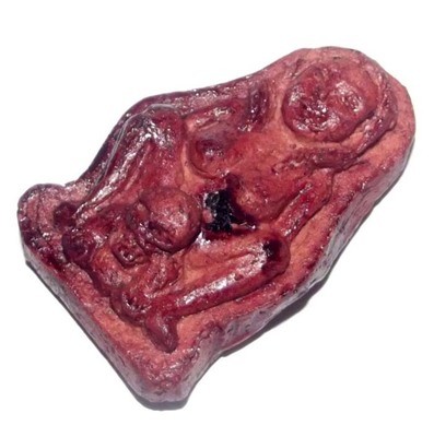 Nang Prai Dtanha Glab &#39;Ongk Kroo&#39; - Nocturnal Entertainment Amulet  - 7 Cemetery Earths, Prai Powders with Wan Dork Tong, Bone + Takrut Maha Sanaeh - Pra Ajarn Dtee Yai