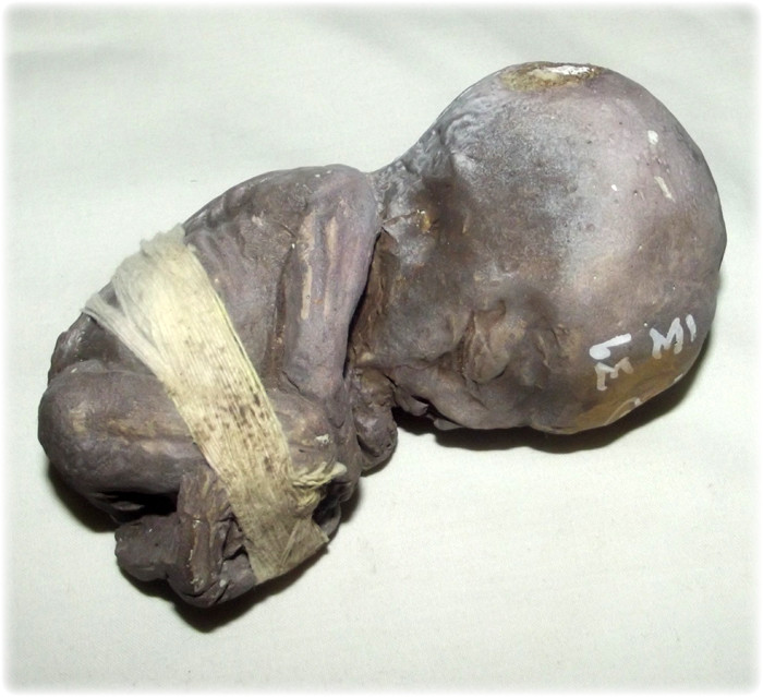 Look Krok Prai Perm Sap - 5 x 2.5. x 2 Inch Necromantic Bucha Statue - Bucha Kroo Traimas Edition 2555 BE - Pra Ajarn Somchart Bparimudto