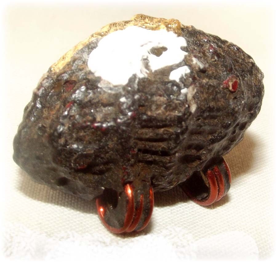Bia Gae Krob Jakrawal - Manyfold Obstacle Remover, Anti Black Magic, Wealth and Protection Charm - Ajarn Apichai Decha