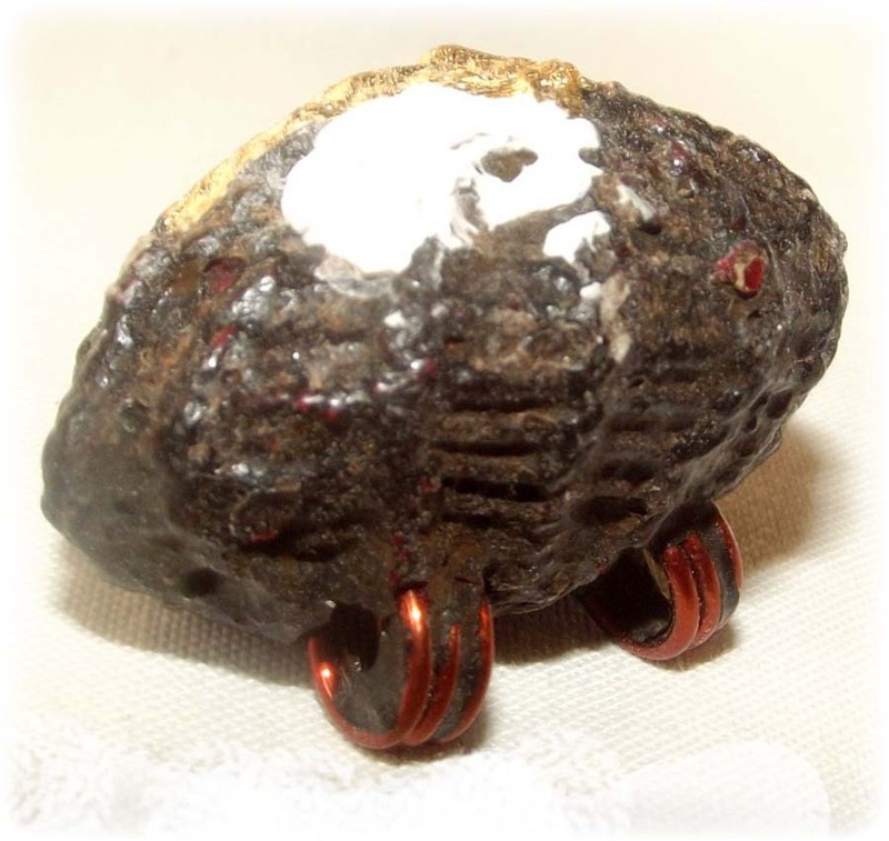 Bia Gae Krob Jakrawal - Manyfold Obstacle Remover, Anti Black Magic, Wealth and Protection Charm - Ajarn Apichai Decha