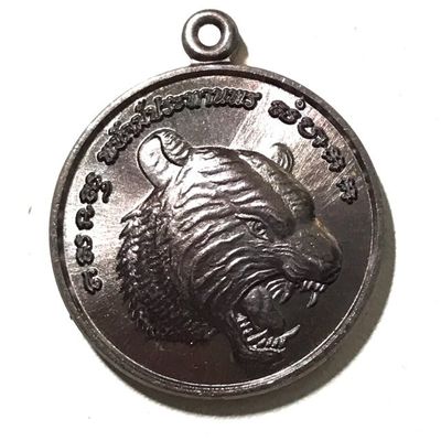 Rian Payak Pratan Porn Tiger Bestowing Blessings Nuea Tong Daeng Rom Man Pu 2559 BE Blessed by Luang Por Foo + Luang Por Chan