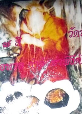 Lek Lai See Peek Malaeng Tap in Torpedo Shape - Luang Por Huan (LP Hone) - Wat Putai Sawan 2548 BE