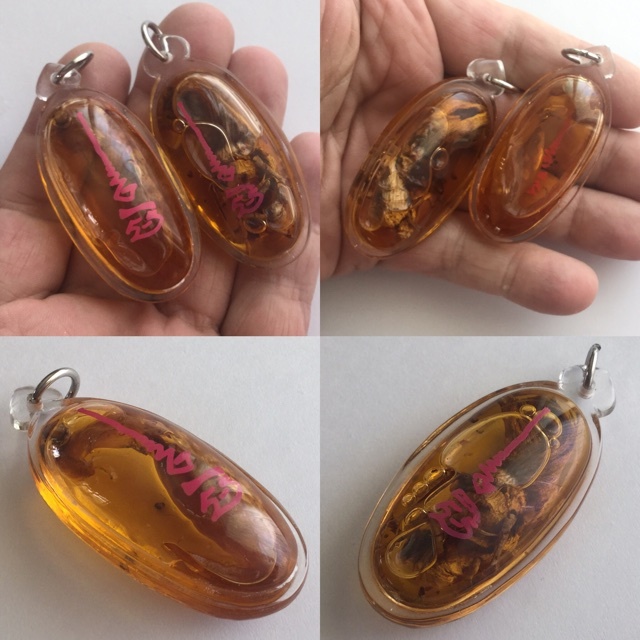 Paya Wan Dork Tong Sacred Rare Golden Forest Flower in Prai Oil - Multiple Empowerments - Ajarn Wirataep Yan Kroo Prasit