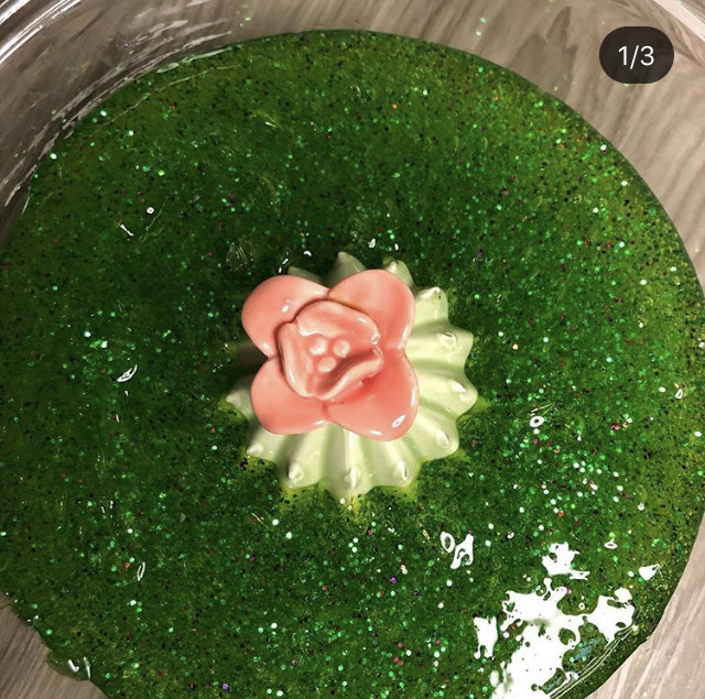 Cactus flower Slime