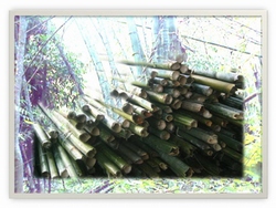 Agriculture industry