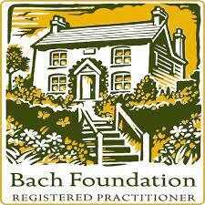 Bach Flower Remedies Session (60 min)