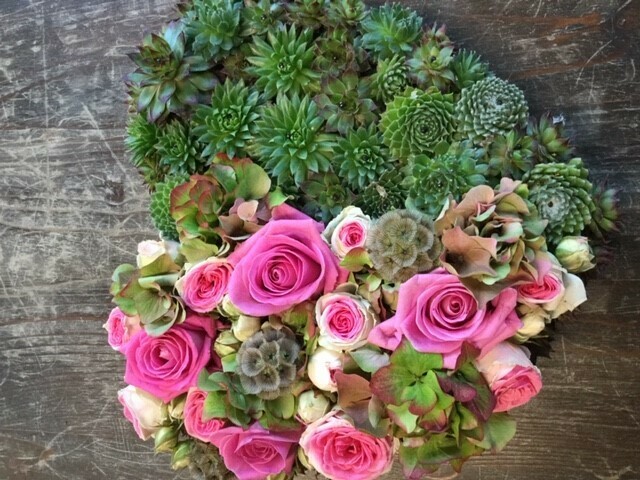 hartje met vetplantjes