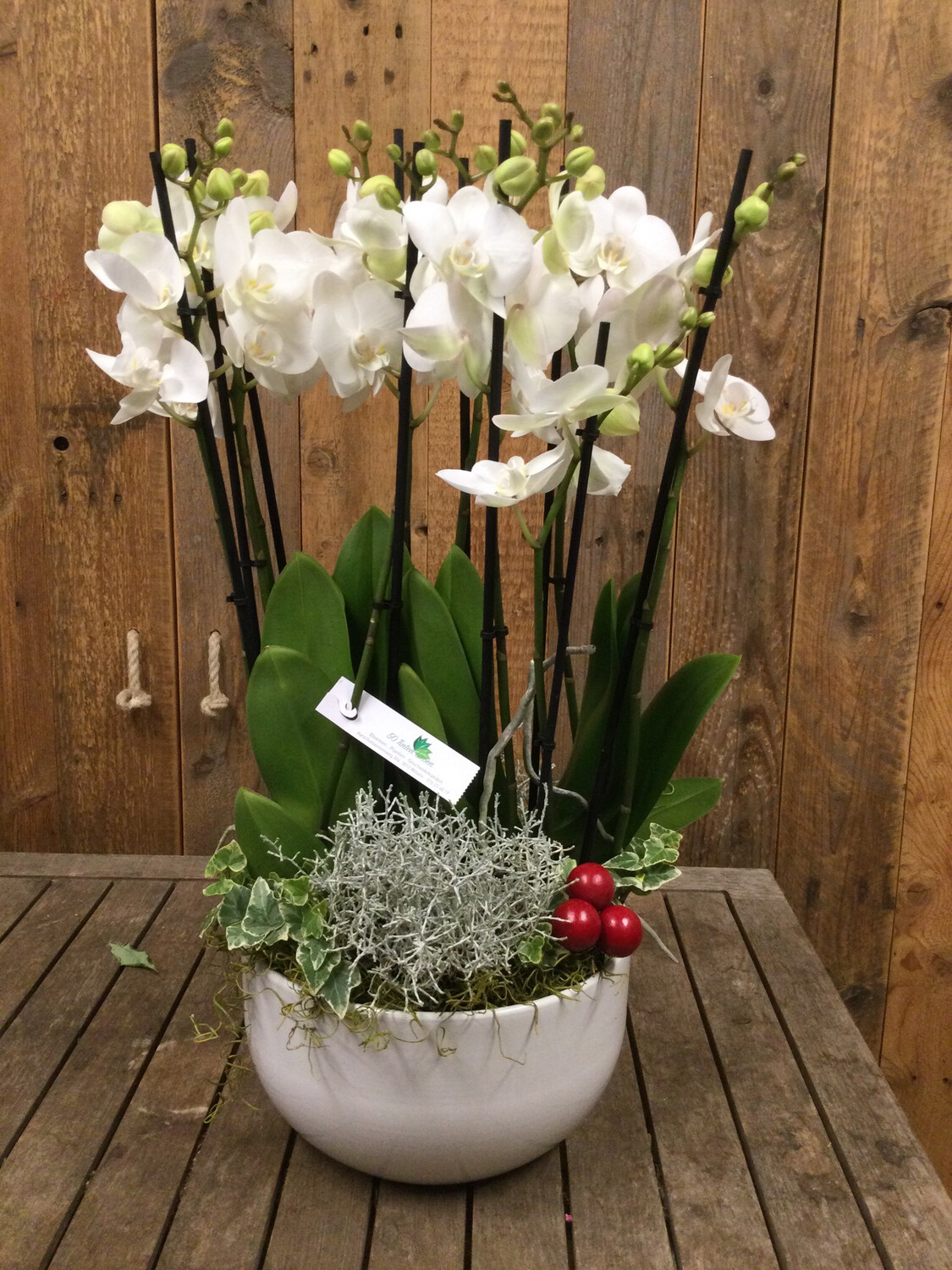 Schaal Met Orchideeen