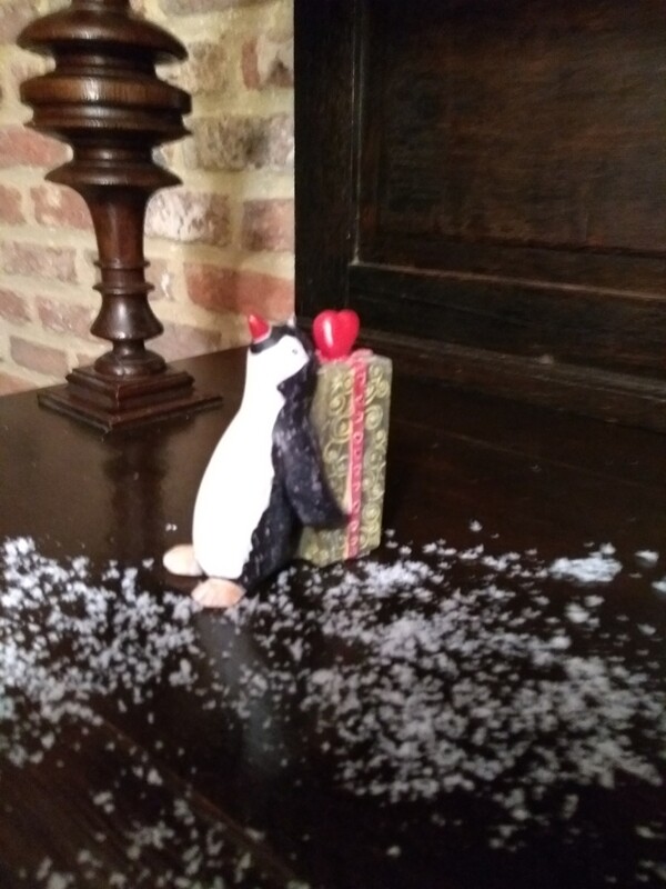 Kaarsje pinguïn voor pakje