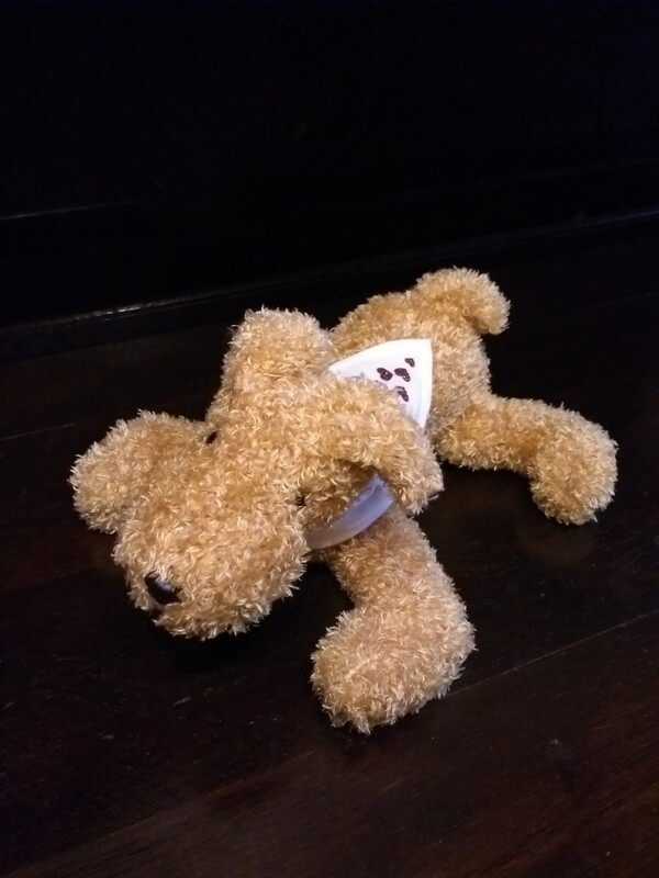 Hond met hartjes