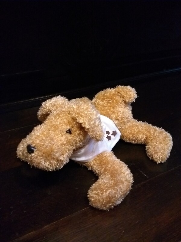 Hond met sterretjes