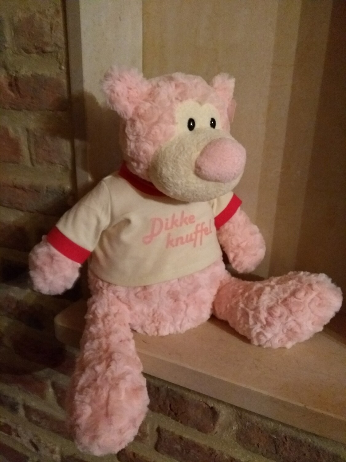 Beer Dikke knuffel