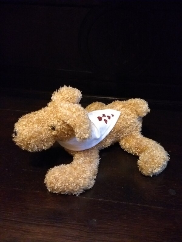 Hond met hartjes