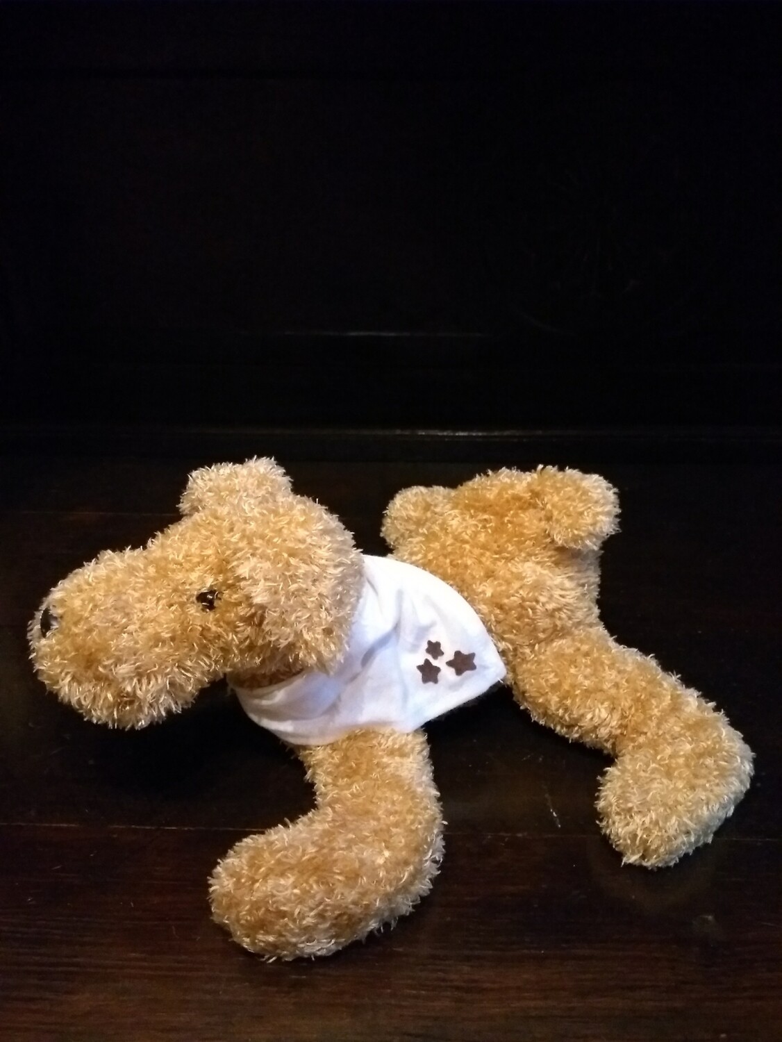 Hond met sterretjes