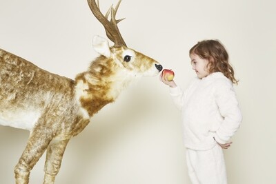 Charlie Choe - Girls Comfy Set