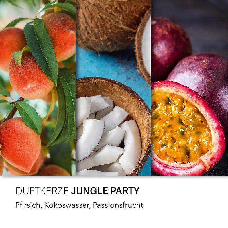 Geurkaars Haribo - Jungle Party - 510g