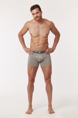 Woody Men Basic Underwear - Cyclist short - duopack - grijs melange