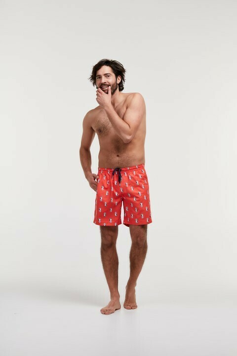 Woody - Jongens/Heren Zwemshort Meeuw - Oranje -