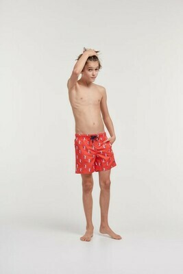 Woody - Jongens/Heren Zwemshort Meeuw - Oranje -
