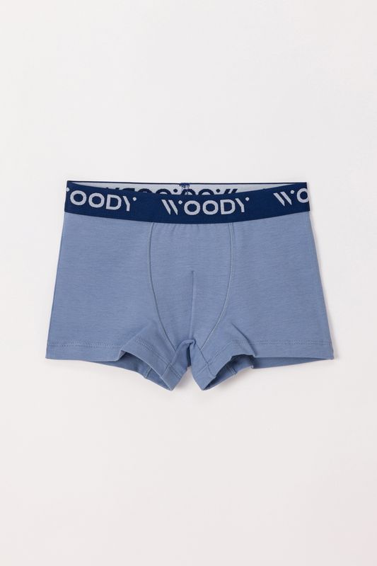 Woody - Jongens Boxers - Blauw/ Blauw Gestreept