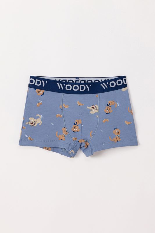 Woody - Jongens Boxer Duopack - Blauw + Labradoodle