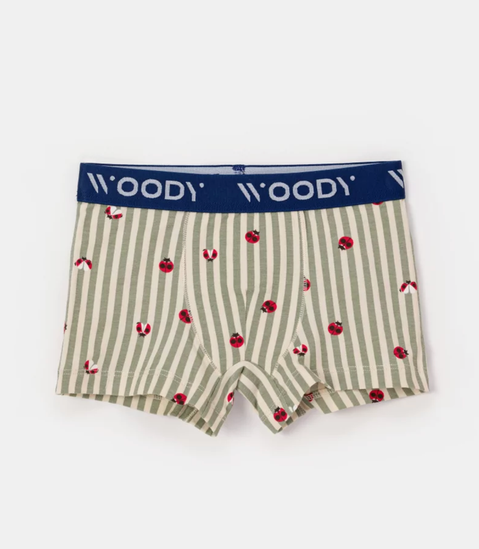 Woody - Jongens Boxers Duopack - Kaki + lieveheersbeestprint