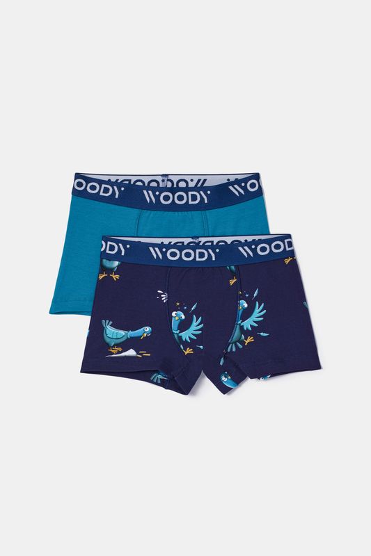 Woody - Duopack Jongens Boxers - Groenblauw + Duivenprint