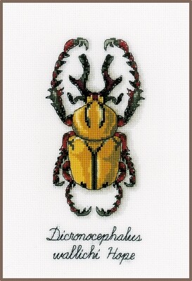 Kruissteek pakket &quot;Gouden kever&quot;