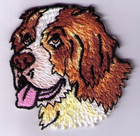 Applicatie hond sint-bernard
