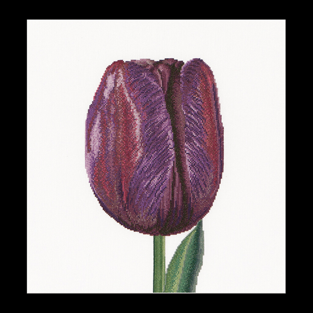Borduurpakket &quot;Purple Triumph tulip&quot;