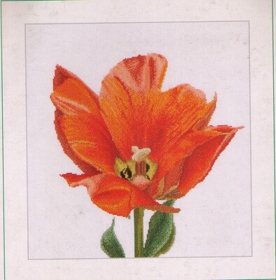 Borduurpakket &quot;Orange Triumph tulip&quot;