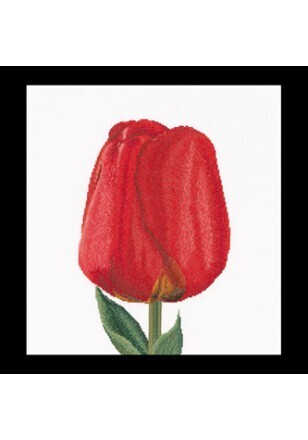 Borduurpakket &quot;Red Darwin hybrid tulip&quot;
