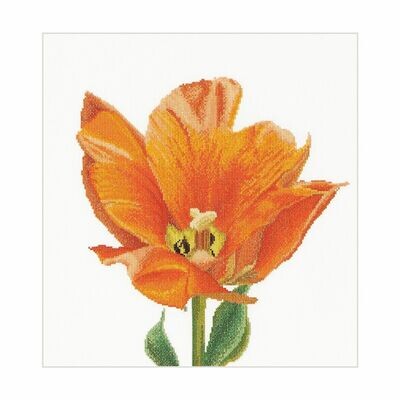 Borduurpakket "Orange Triumph tulip"