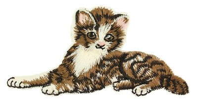 Applicatie liggende kat