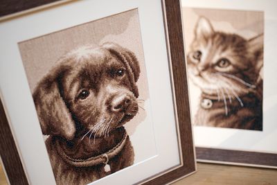 Kruissteek pakket "Labrador pup"