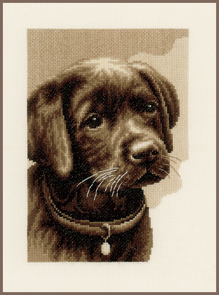 Kruissteek pakket &quot;Labrador pup&quot;