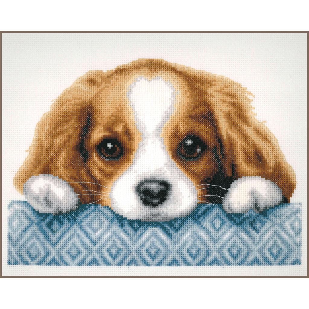 Kruissteek pakket &quot;Hondje&quot;