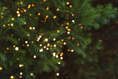 December aanbiedingen