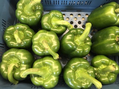 Paprika groen per stuk