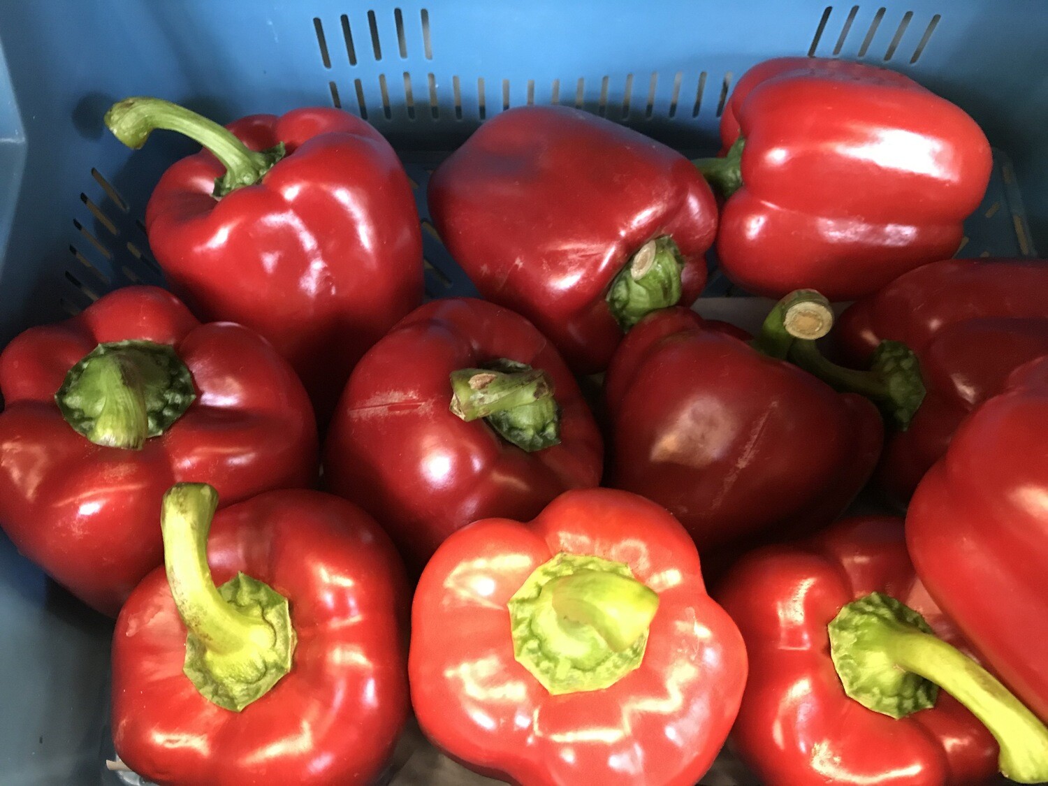 Paprika rood per stuk