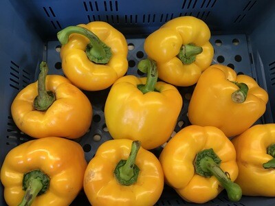 Paprika geel per stuk