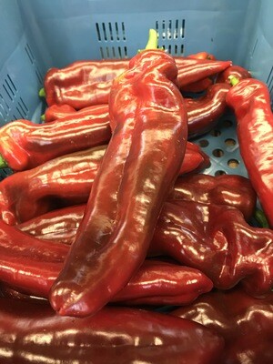 Rode puntpaprika per stuk