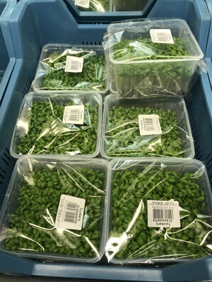 Tuinkers bakje