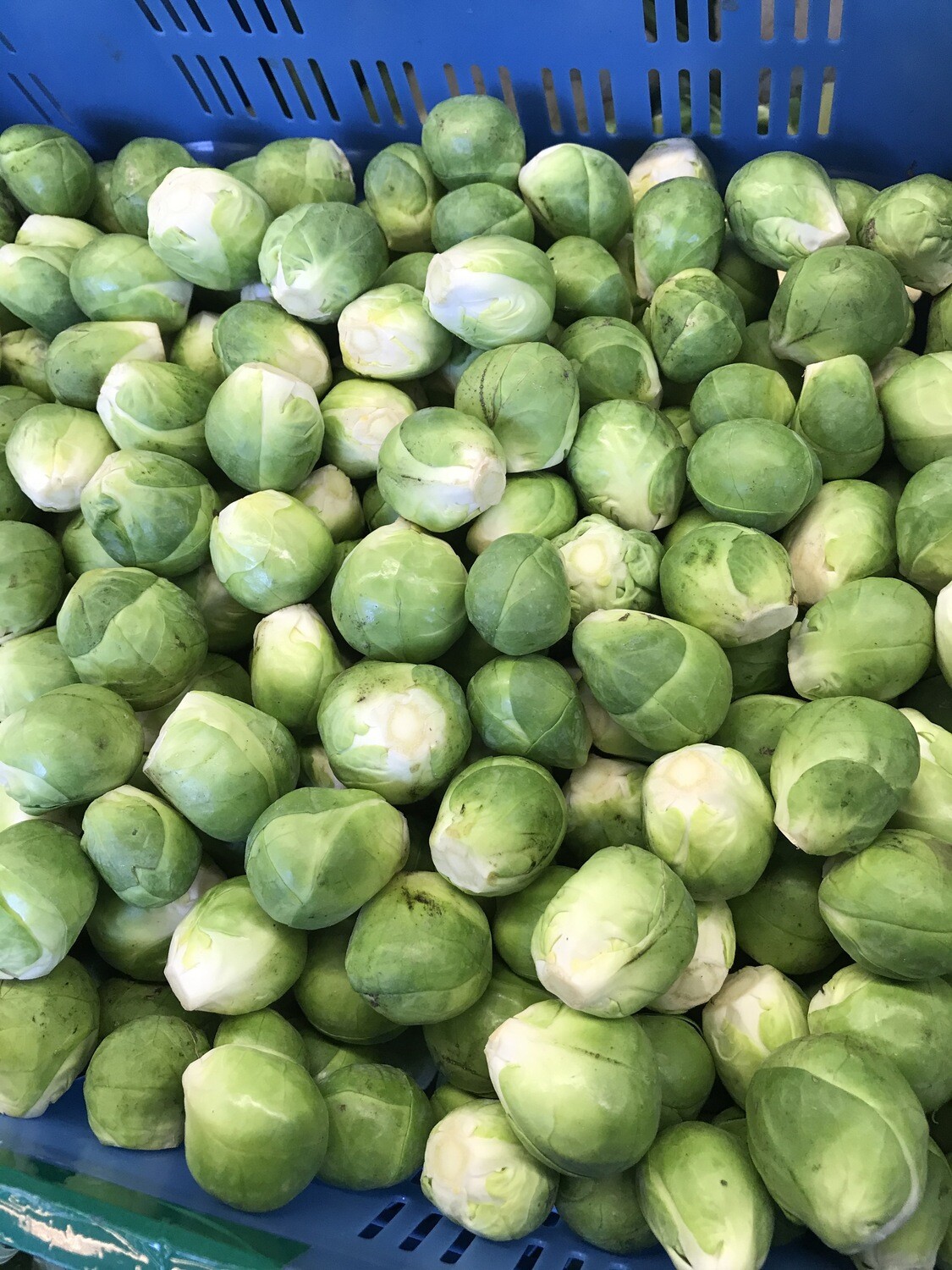 Spruiten per 500g klein