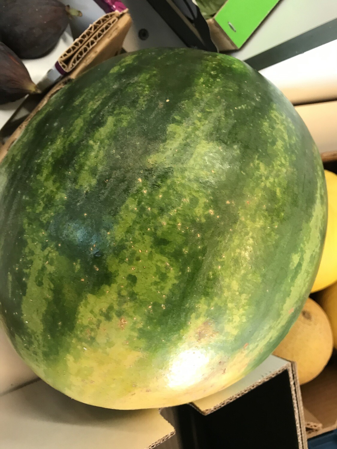 Watermeloen hele +/- 4,5 kg