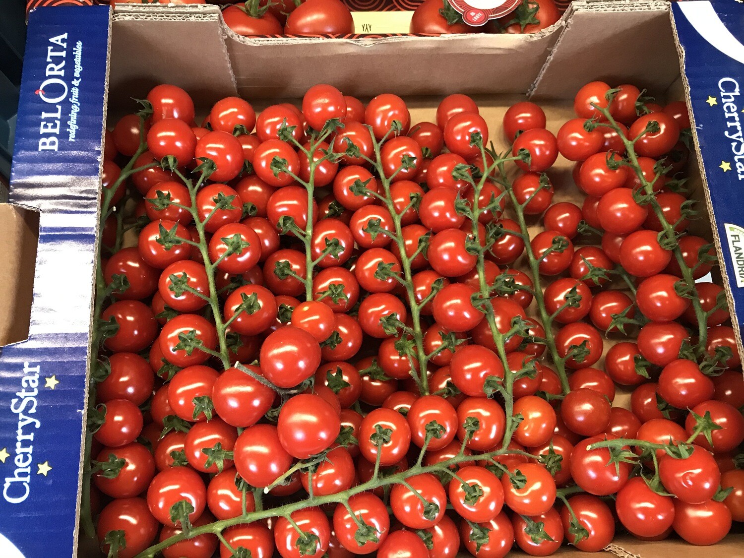 Kerstomaten aan steel per 2 takken