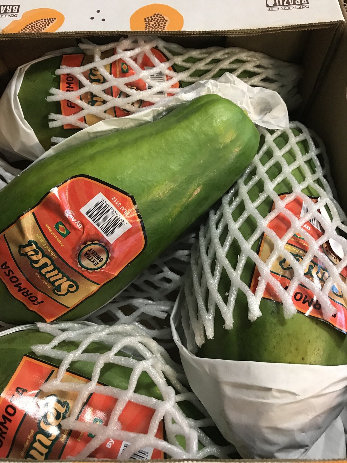 Papaya XL