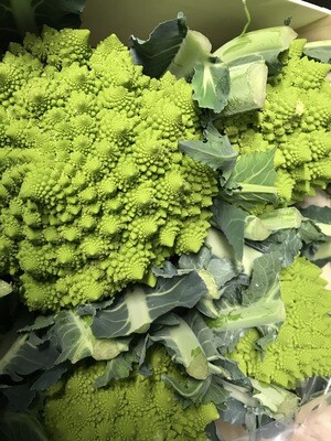 Bloemkool Romanesco Belg