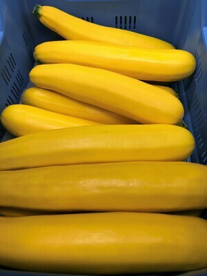 Courgette geel