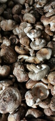 Mini Shiitake 100g